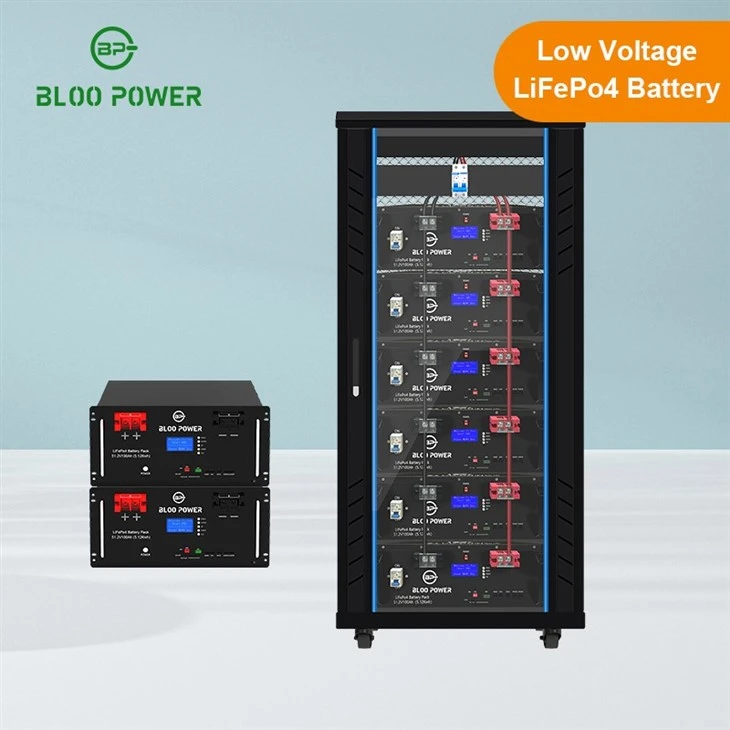 51.2V Home Energy Storage Lifepo4 Battery Pack